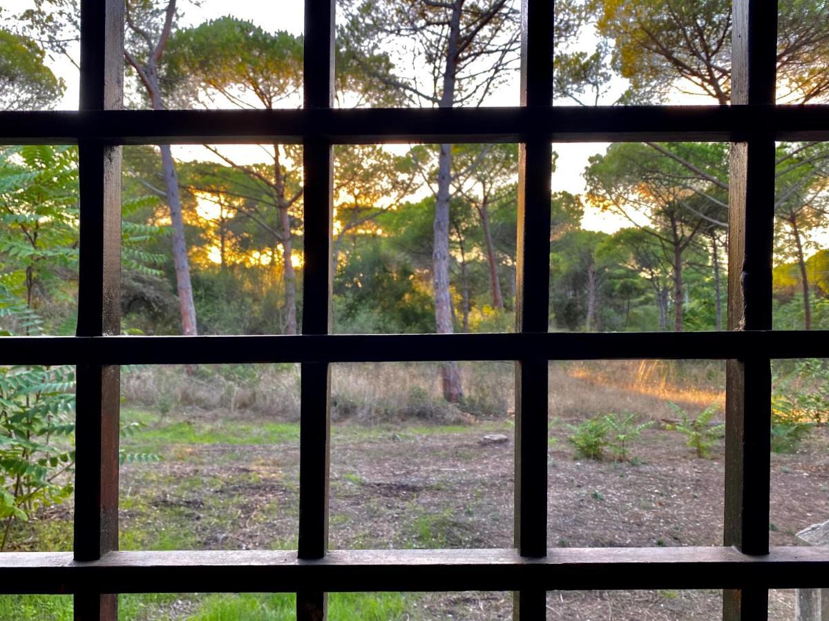 Apartament All'Ombra Dei Pini - Casa Vacanze Pet Friendly Marina di Sorso Zewnętrze zdjęcie