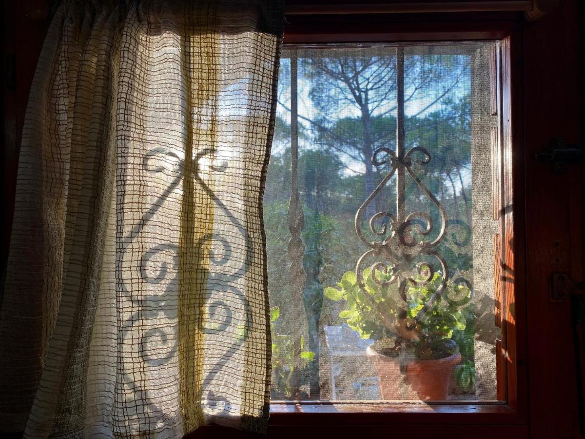 Apartament All'Ombra Dei Pini - Casa Vacanze Pet Friendly Marina di Sorso Zewnętrze zdjęcie